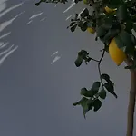 Il Piccolo Eden