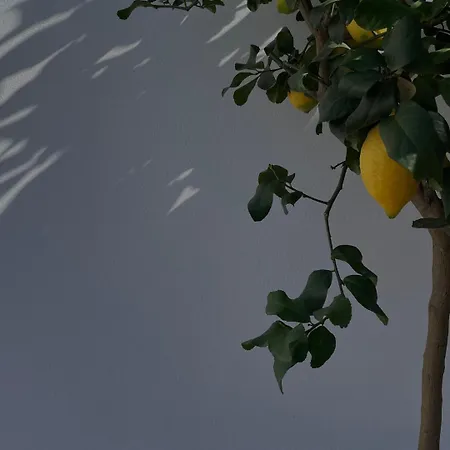 Il Piccolo Eden