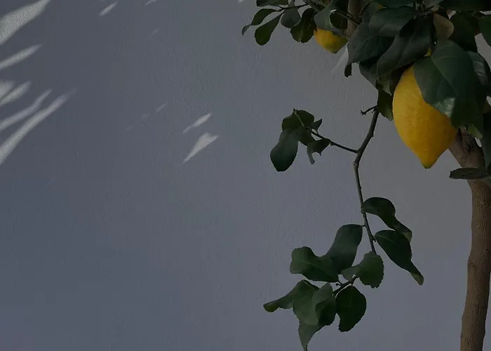 Il Piccolo Eden